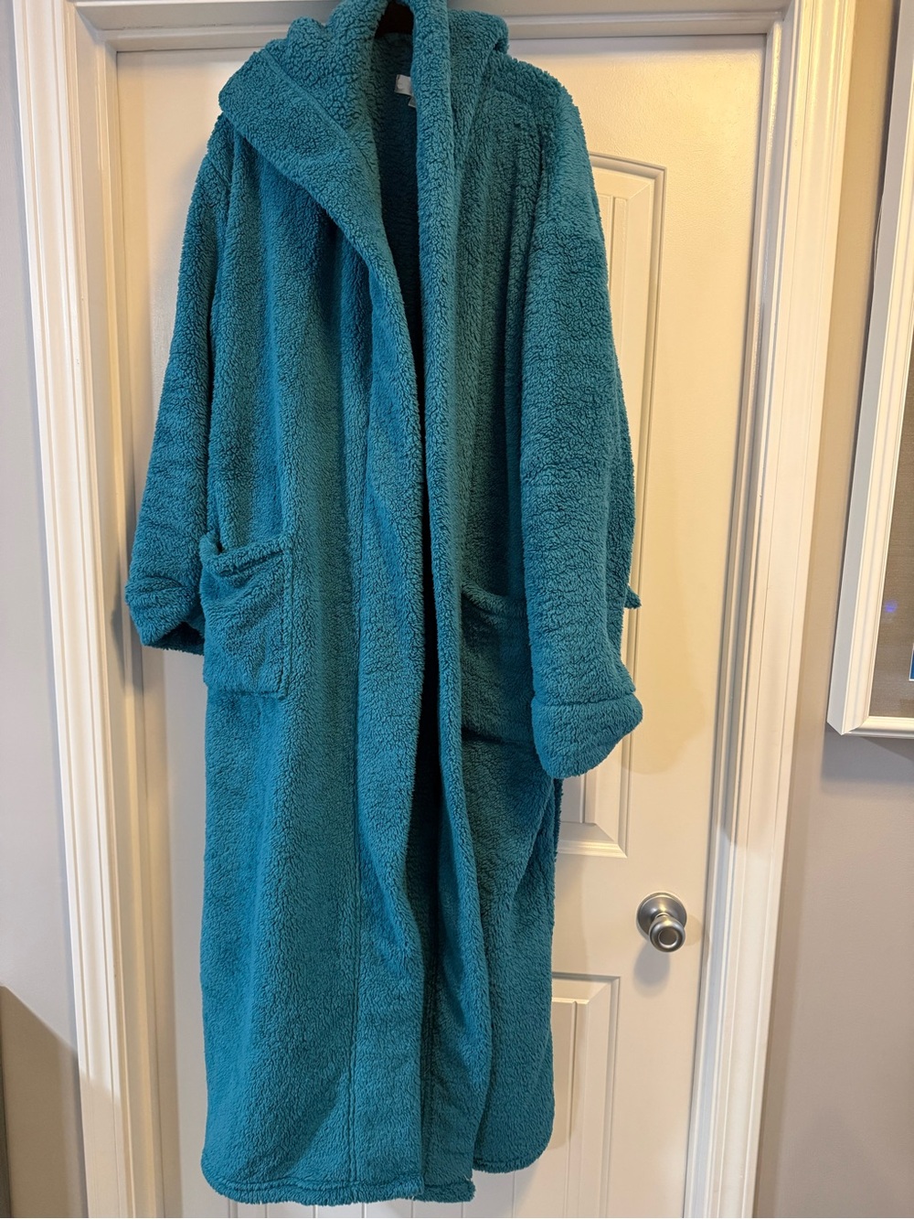 Plush Hooded Long Robe in Teal